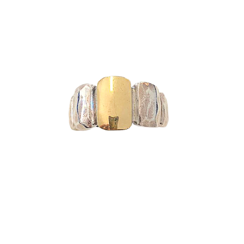 Silver and gold ring